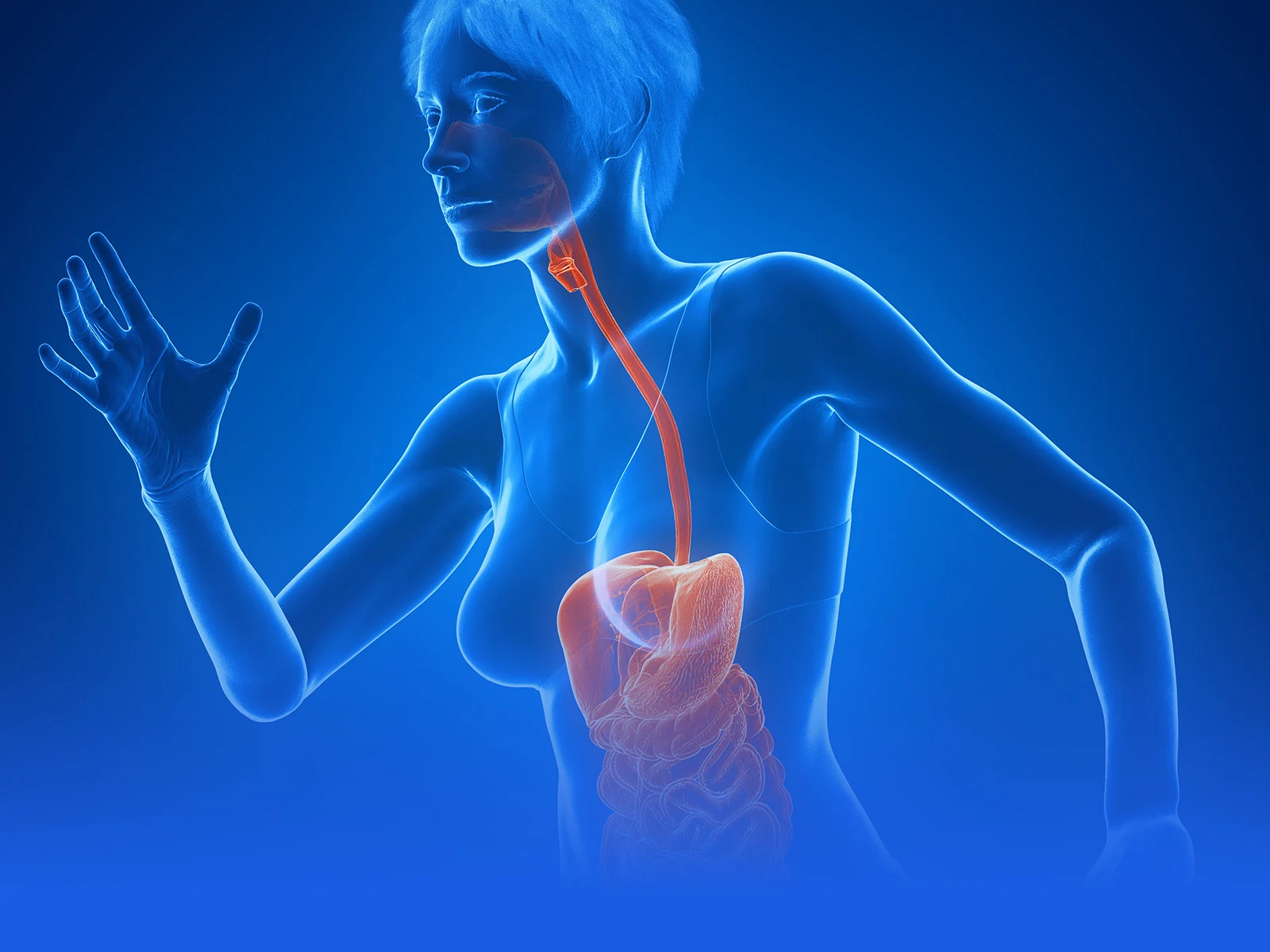 Metabolic and Endocrine Regulation