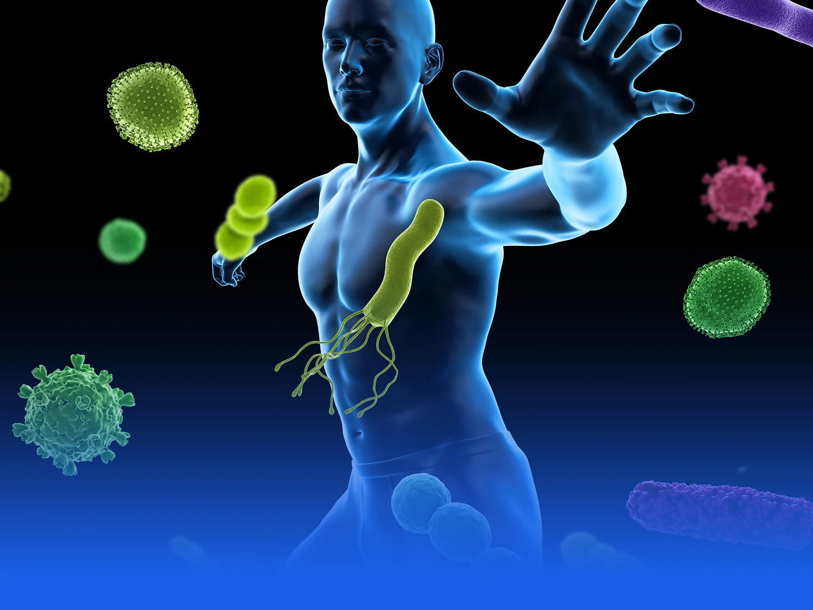 Immunity and Anti-inflammation