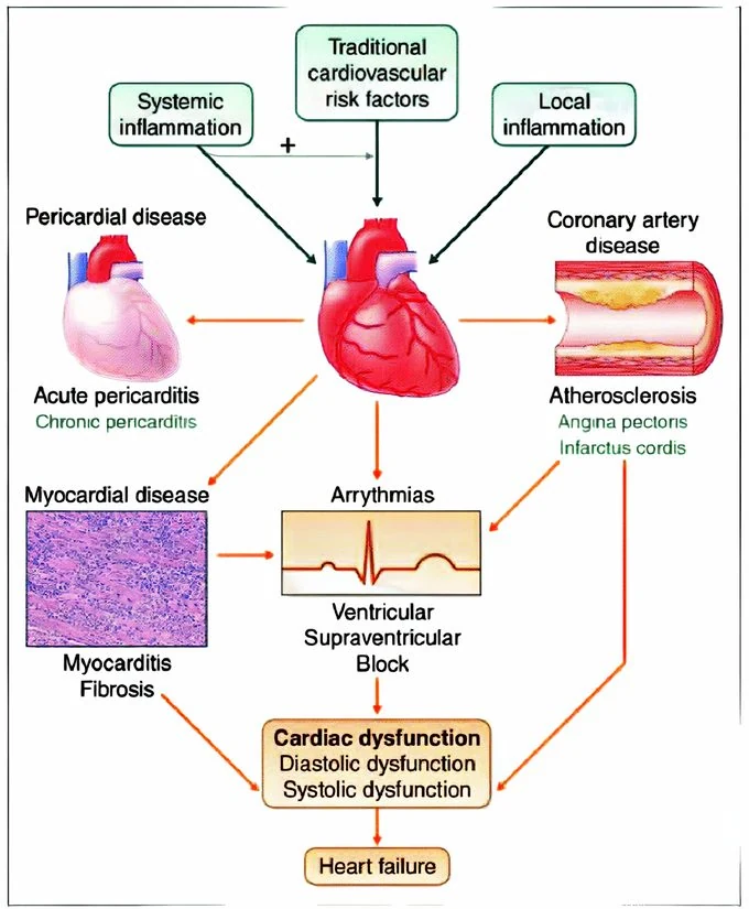 Corgaten: A Powerful Tool for Protecting Cardiac Function in Heart Failure Patients