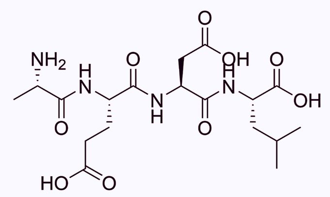 Bronchogen: A Guardian of Respiratory Health