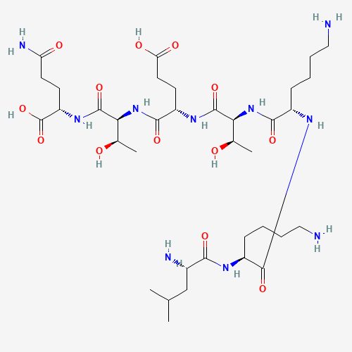 What is TB 500 Fragment (17–23)?