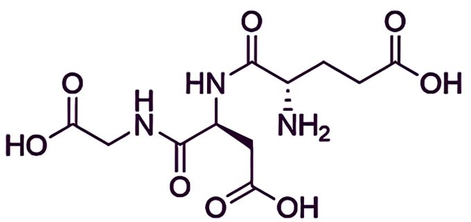 Chonluten: A Repair Peptide