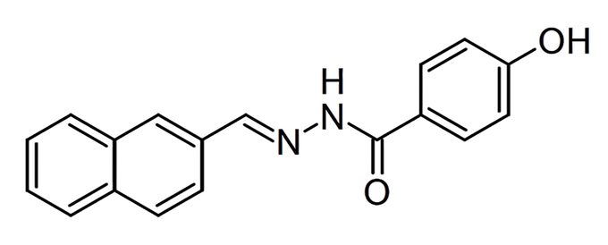 Slu-PP-332: A Multifaceted Exploration of Enhancing Physical Functionality