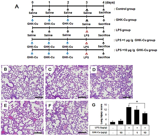 Fig4