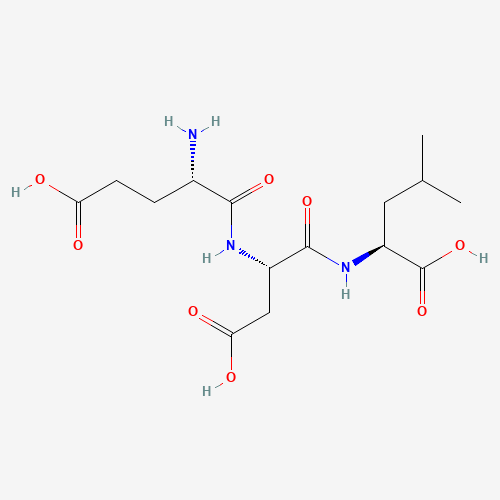 Glutamyl-aspartyl-leucine