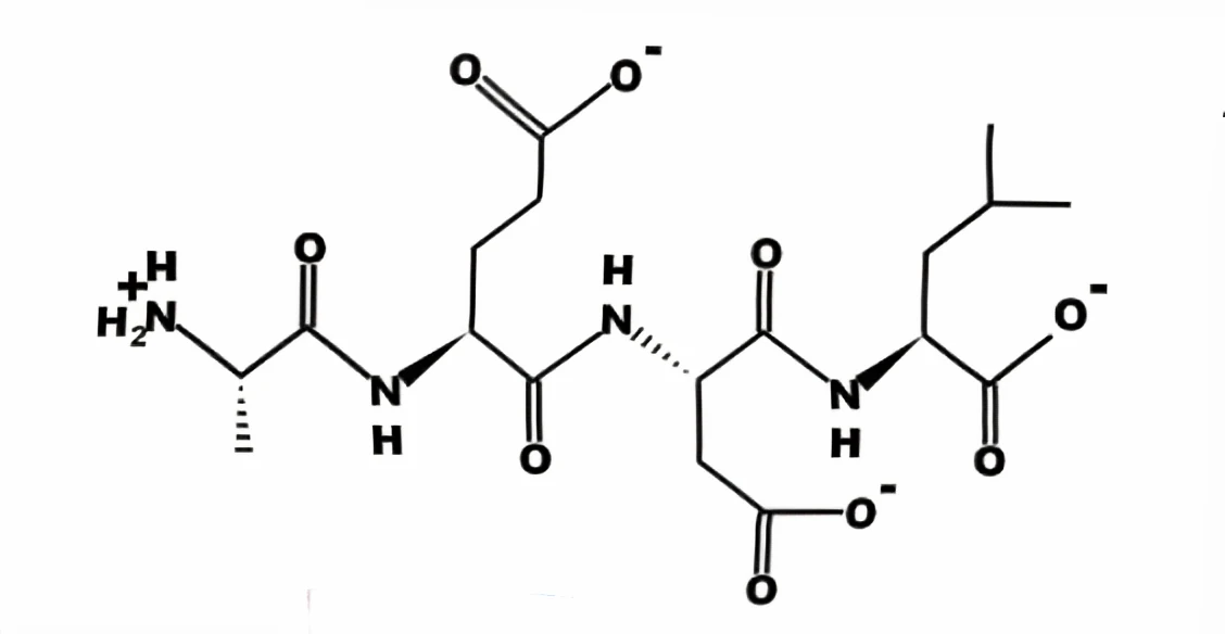 1-Bronchogen